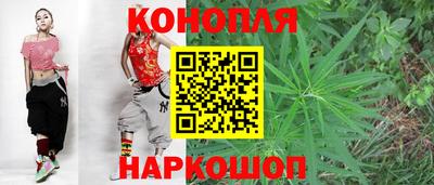 spice Кунгур