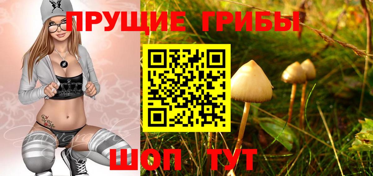Галлюциногенные грибы Psilocybe  Вход с VPN  Кировск 
